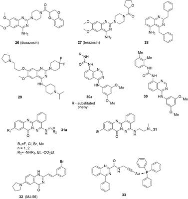 Quinazoline Derivatives as Potential Therapeutic Agents in Urinary Bladder Cancer Therapy